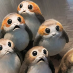 9. porgs