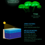 Infografia Bioluminescència català