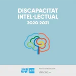 Discapacitat-intellectual (1)