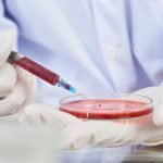 Laboratory worker filling Petri dish with red reagent