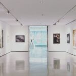 Art. 5 – Dannie Jing