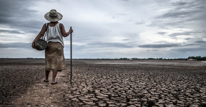 L'escalfament global està fent pujar les temperatures i pot deixar zones del planeta inhabitables (jcomp/ freepik)